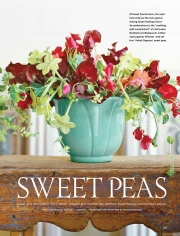 Country Living SweetPeas