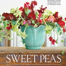 Country Living SweetPeas